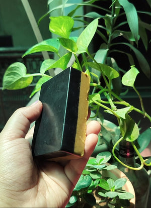 Charcoal Multani mitti bar